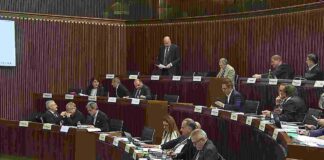 Autonomia organizzativa, Consiglio regionale, Politica, Piero Mauro Zanin