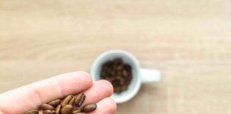 illycaffè