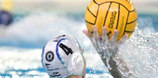 trieste@news-anzio-pallanuoto-trieste-11-17
