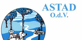 trieste@news-astad