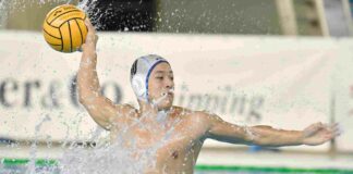 trieste@news-pallanuoto-trieste-siracusa