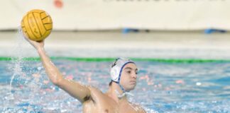 trieste@news-pallanuoto-trieste-noisy