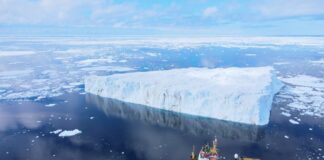 The Laura Bassi ship leaves for Antarctica and will remain ‘among the ice’ until March 2024 icebreaker laura bassi antarctica research