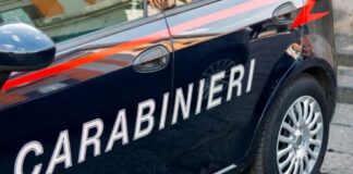 mossa by night controlli - furto chioschi Muggia