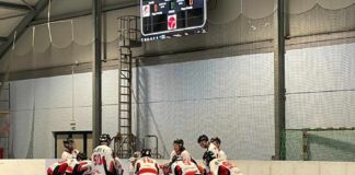 trieste@news-tigers-edera-1-8