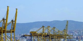 porto trieste container