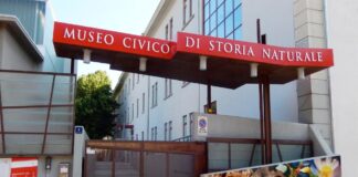Museo storia naturale Magazzino 26