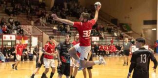 trieste@news-pallamano-trieste-eppan