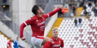 trieste@news-mantova-triestina