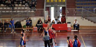 Basket-femminile-SGT-Rovigo