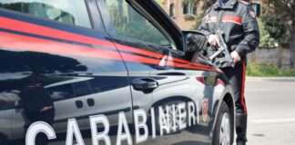 Furti, denunce, controlli trieste carabinieri - spaccio droga - violenza sessuale trieste
