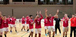 La Pallamano Trieste batte il Cassano Magnago 22-15