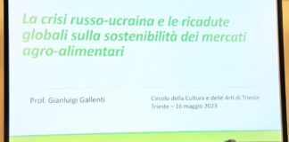 crisi-russo-ucraina-Gianluigi-Gallenti