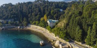 miramare giornata uccelli migratori