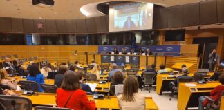 Esperti nazionali regionali a Bruxelles, un terzo proviene dal Friuli Venezia Giulia Friuli Venezia Giulia esperti nazionali