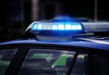 Ragazza in escandescenze tenta di rapinare un’anziana in strada: fermata dalla Polizia Polizia di Stato, Trieste,