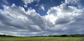Friuli Venezia Giulia clima