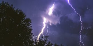 Fulmini innescano l’inferno verde: il Friuli Venezia Giulia combatte contro i roghi