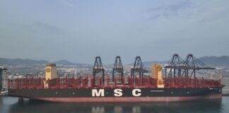 msc trieste portacontainer
