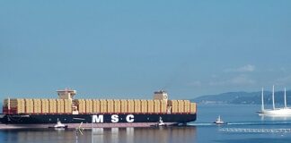 MSC Nicola Mastro