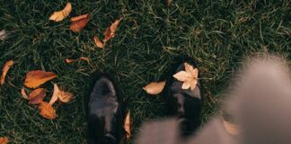 È arrivato l’autunno. E voi siete pronti? autunno