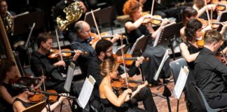 FVG Orchestra è alla ricerca di quattro nuovi violinisti