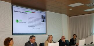 FVG Accessibile