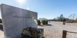 Giorno del Ricordo, cerimonia solenne, Foiba di Basovizza
