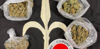 coltivazione marijuana in casa