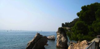 Viaggio tra colori e risorse della Riserva Biosfera Unesco di Miramare Riserva-Biosfera-di-Miramare-Unesco