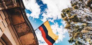 La Trieste del Caffè. Segreti e curiosità del caffè colombiano tra montagne e aromi caffe-colombiano-colombia