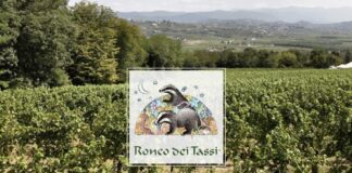 vinitaly 2024 FVG