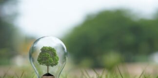 lampadina efficienza energetica