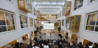 Startup Marathon