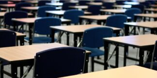 Maturità 2024. Le tracce della prima prova, da Ungaretti ai selfie maturità 2024 - tracce prima prova