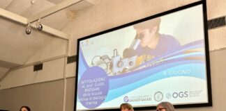 scuola estiva di biologia marina galileo Galilei trieste