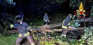 250 interventi in 24 ore per il maltempo. Il bilancio regionale dei Vigili del Fuoco vigili del fuoco interventi maltempo regione fvg