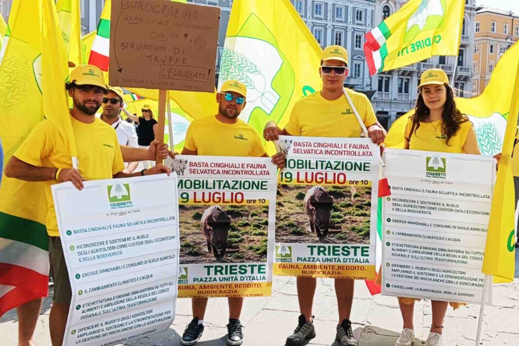 coldiretti-fvg