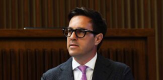 Gestione residui del verde. ‘Il Governo dimostri vicinanza ai lavoratori del settore’, il commento di Treleani (FdI) residui-del-verde-Treleani