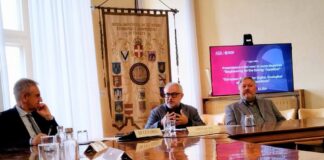 laurea magistrale transizione