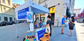 raccolte firme costituzione