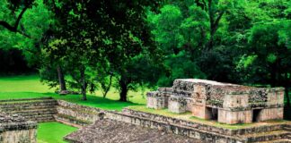 caffe-honduras