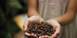 Ernesto Illy International Coffee Award