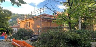 scuola barcola albero