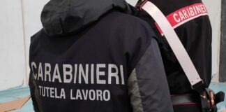 francescon lavoro nero