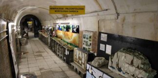 piccoli musei Trieste