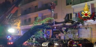 interventi vigili del fuoco bora