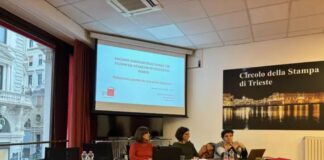 goap violenza di genere report giustizia