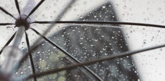 Instabilità al mattino e Bora moderata, il meteo di oggi Il tempo previsto le condizioni meteo trieste@news