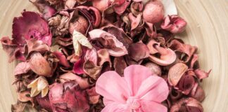 Potpourri fai da te, creare un’atmosfera profumata e naturale in casa pot pourri